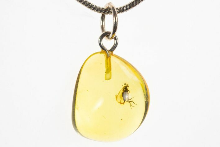 Polished Baltic Amber Pendant (Necklace) - Contains Fly! #328552